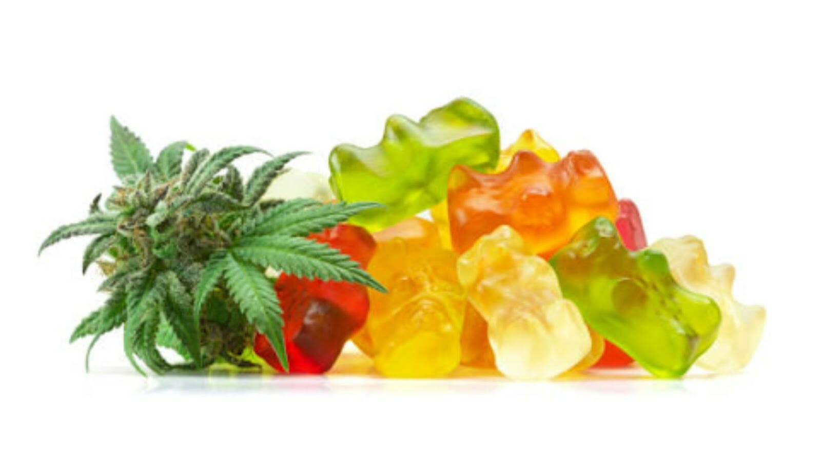 Why CBD Gummy Bears are the Perfect Way to Get Your Daily Dose of CBD?