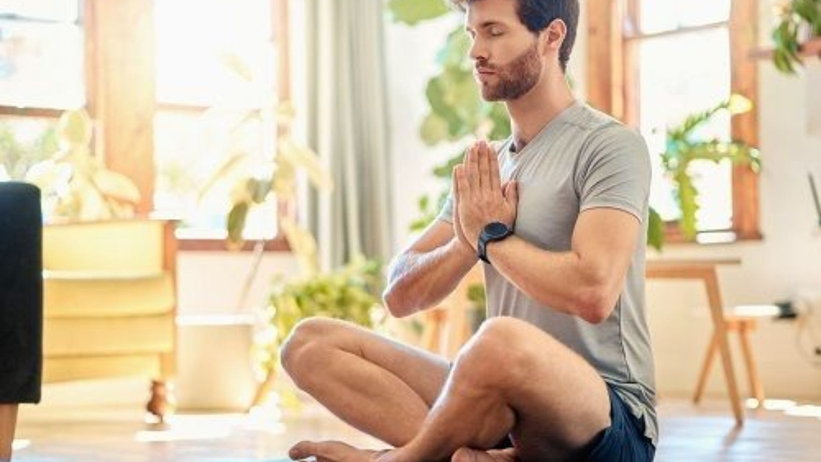 Boost Your Focus and Relaxation: Explore Natural Wellness with Blimburn Seeds
