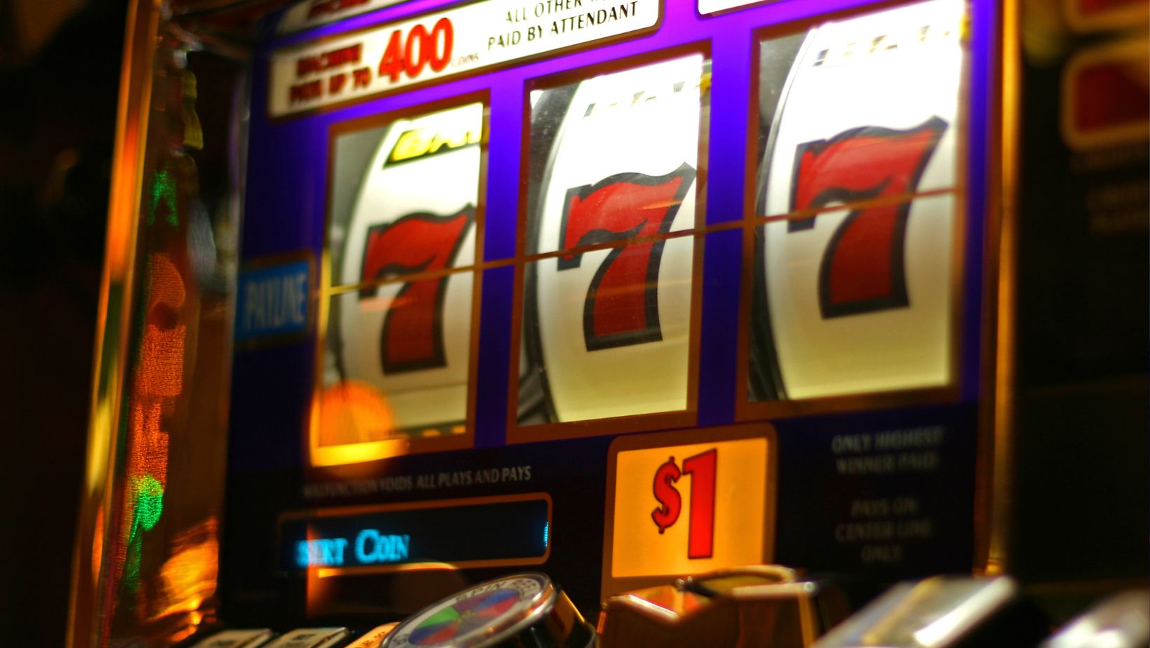 A Guide to the Slot Machines in 2025