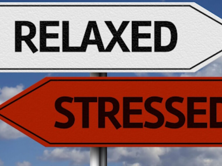 Emotional Discipline in Sports Betting: Can You Train It?
