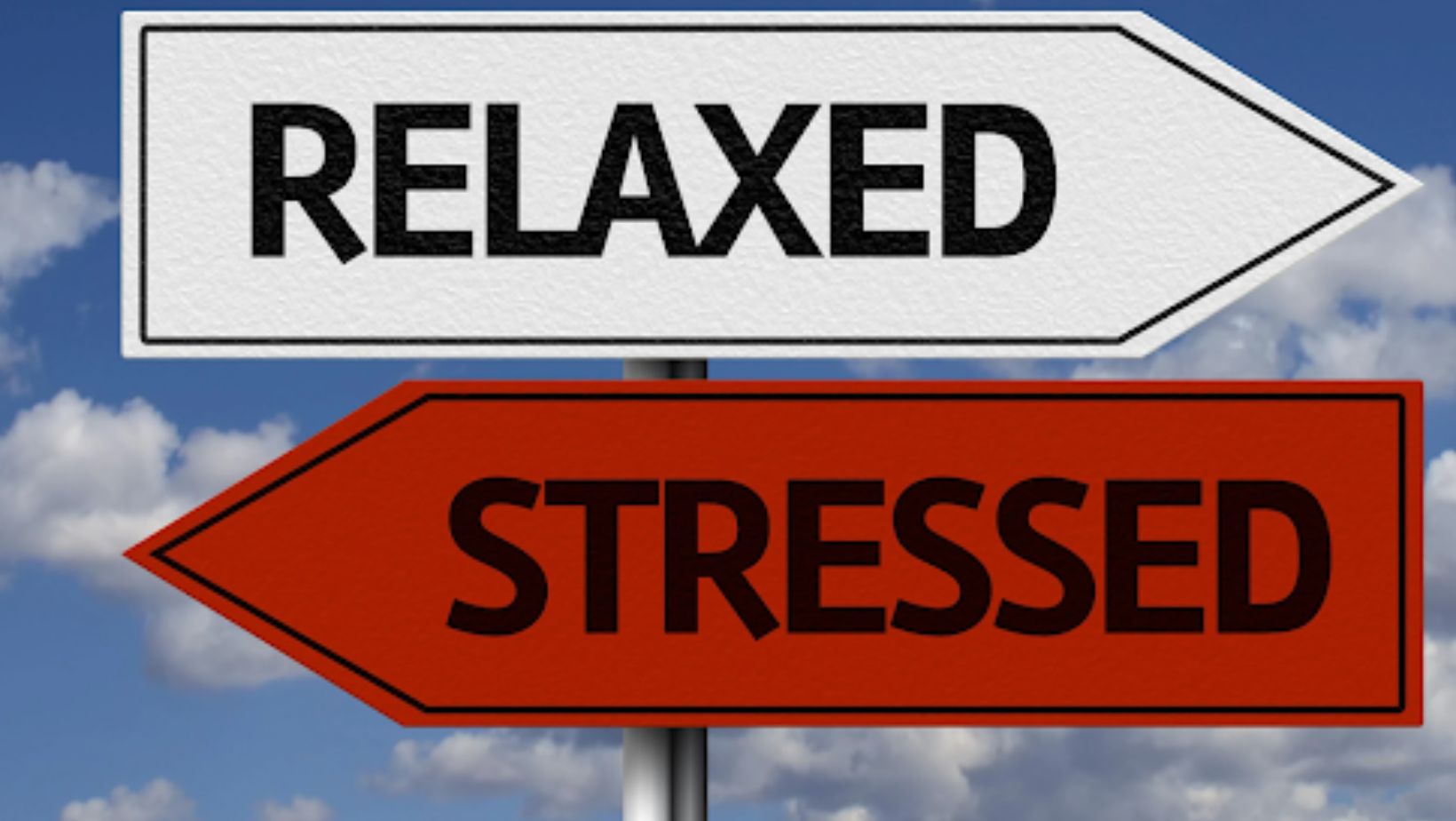 Emotional Discipline in Sports Betting: Can You Train It? Emotional Discipline in Sports Betting: Can You Train It?