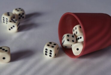 How Tabletop RPG Players Organize and Protect Their Dice Collections