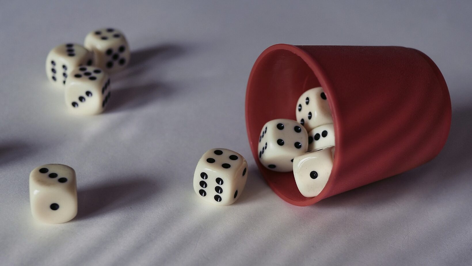 How Tabletop RPG Players Organize and Protect Their Dice Collections